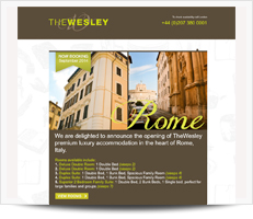 http://www.thewesleyrome.com
